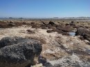 Littoral de Brignogan